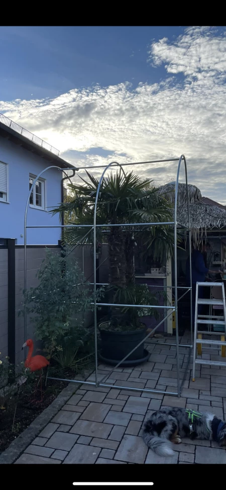 Weißes Foliengewächshaus 2x2m Garden Point