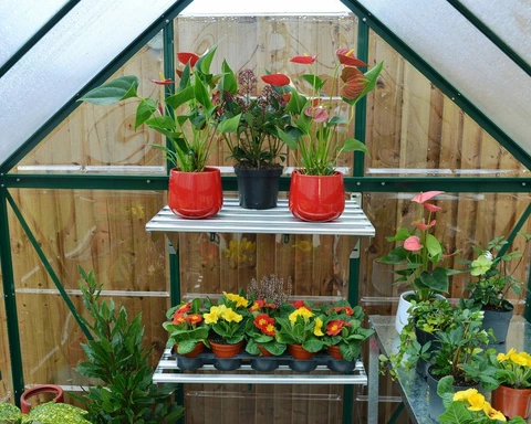 Hybrid-Polycarbonat-Gewächshaus 1,85 x 3,06 m Palramgrün