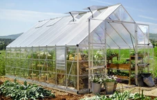 Polycarbonat-Gewächshaus Balance 3,04 x 6,04 m Palram - Canopia