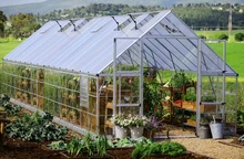 Polycarbonat-Gewächshaus Balance 3,04 x 9,64 m Palram - Canopia