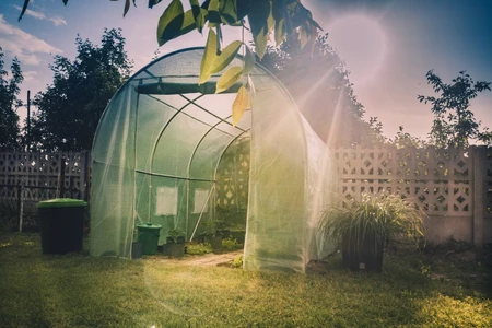 Folientunnel - Folientunnel zum Garten 2x3 m