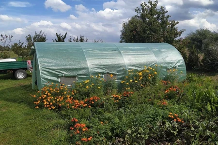Folientunnel - Folientunnel mit Metallrahmen 3 x 6 m Garden Point im Sommergarten