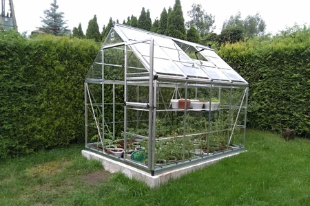 Polycarbonat-Gartengewächshaus Harmony Silver mit Stecklingen