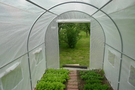 Der weiße Gartentunnel von Garden Point im Obstgarten