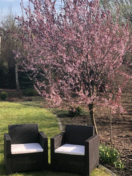 Brauner Nebraska Bica Gartenstuhl