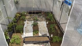 Weißer Kunststofftunnel 2x2,5m Garden Point