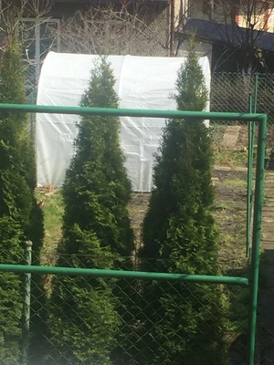 Weißer Kunststofftunnel 2x2,5m Garden Point