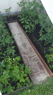Weißer Kunststofftunnel 2x2,5m Garden Point